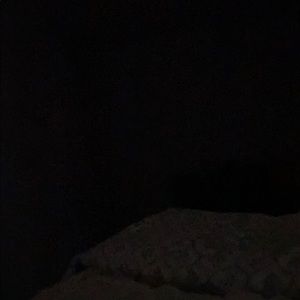 Meet your Posher, Maya